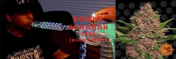 2c-b Гусиноозёрск