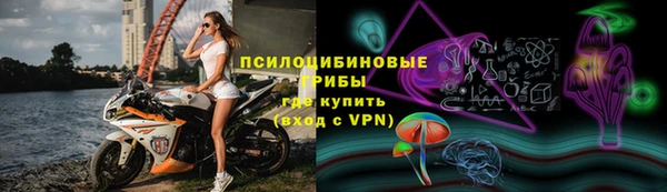 МДПВ Гусев