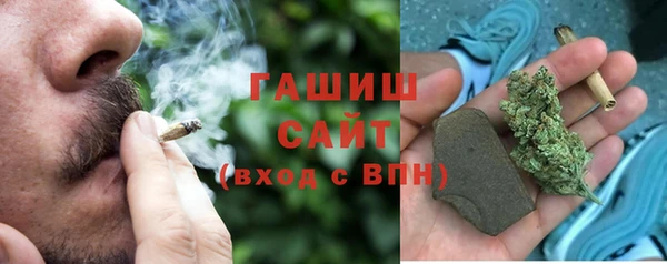 МДПВ Гусев