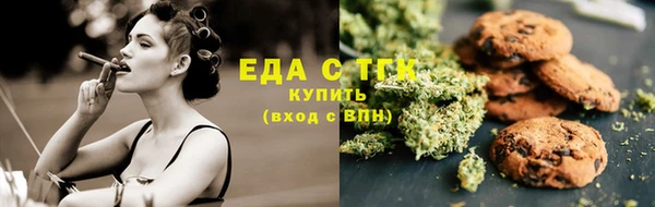 МДПВ Гусев