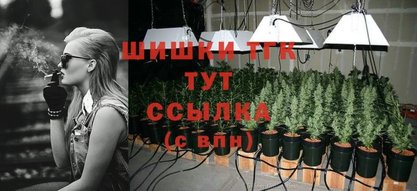 МДПВ Гусев