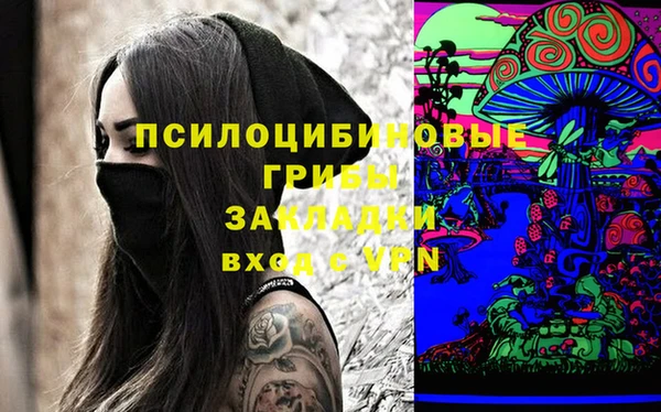 2c-b Гусиноозёрск