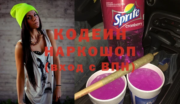 МДПВ Гусев