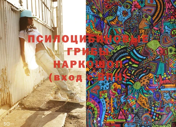 МДПВ Гусев