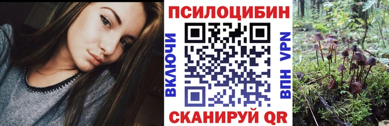 купить  сайты  Донецк  Галлюциногенные грибы Magic Shrooms 
